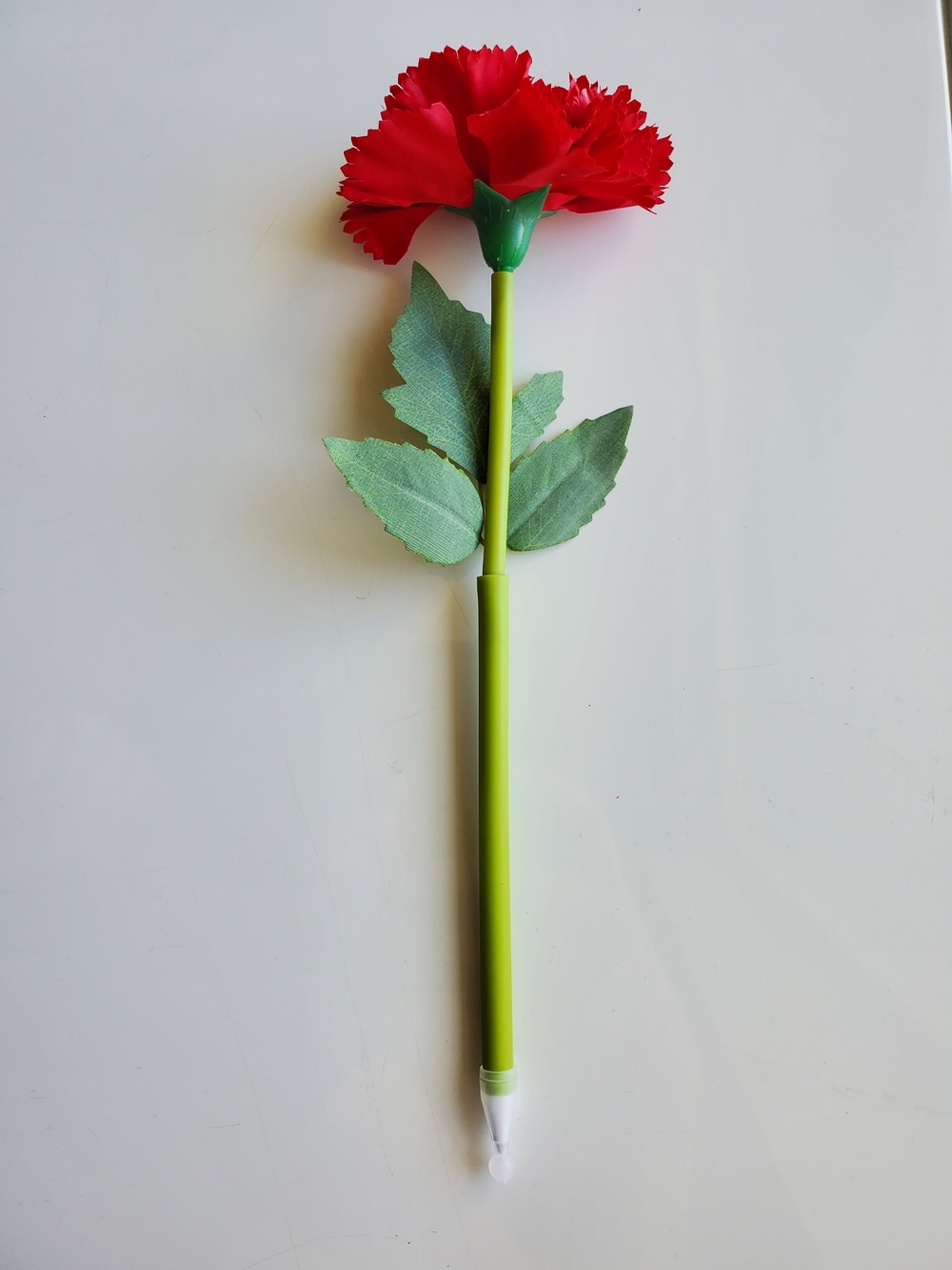 Red Carnation Flower Pen with Green Stem and Leaves